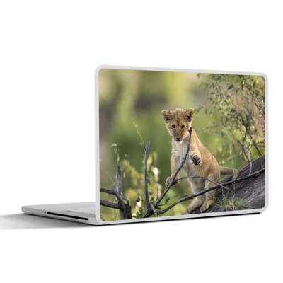 Produktbild von MuchoWow® Laptop Aufkleber Sticker Cover Löwe - Junge - Zweige 36.5x27.5 cm - Laptop-Sticker