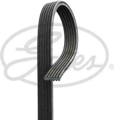 Immagine prodotto di Keilrippen cinghie GATES 6DPK1698