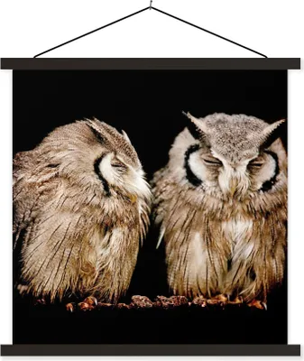 Produktbild von MuchoWow® Textilposter Eule - Vogel - Schwarz 120x120 cm mit schwarzem Rahmen - Aufhängungsset