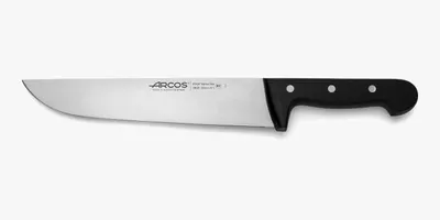 Imagen del producto de Cuchillo de carnicero Arcos Universal 283204, fabricado en acero inoxidable Nitrum, con mango de polioximetileno y hoja de 25 cm, presentado en estuche