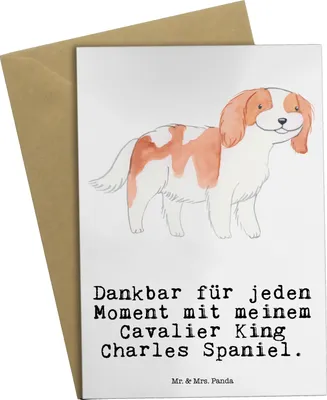 Produktbild von Mr. & Mrs. Panda Grußkarte Cavalier King Charles Spaniel Moment - Weiß - Geschenk, einladungskarten, glückwunschkarten, weihnachtskarten, osterkarte, kommunionskarte