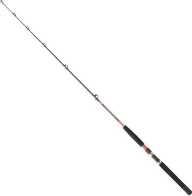 Produktbild von Daiwa Megaforce Trollingrute Silber 1.70 m / 30-50 Lbs Silber 1.70 m