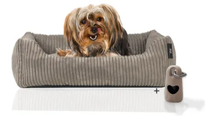 Produktbild von Rohrschneider Hundebett waschbar für kleine und mittelgroße Hunde mit Hundekissen Cord  inkl. Gassibeutel, Farbe:taupe 55cm, Muster:Cordstoff breit
