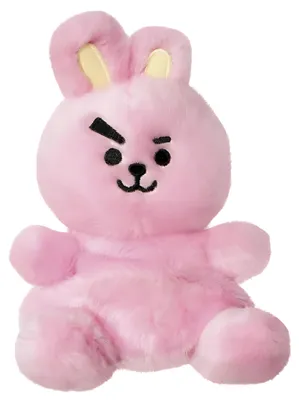 Immagine prodotto di Bt21 Cooky Palm Pal 5in – Lingua: Inglese