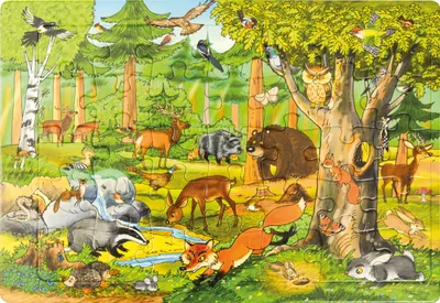 Produktbild von EDUPLAY 120402 Puzzle Wald, bunt, 35-teilig (1 Set)