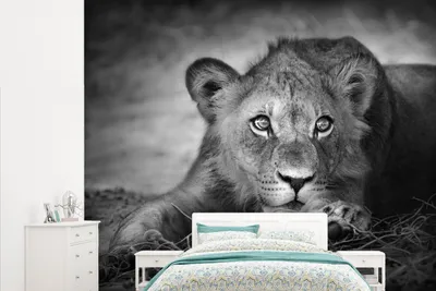 Produktbild von MuchoWow® Fototapete für Wohnzimmer oder Schlafzimmer Wandtapete Vinyl Motivtapete Wildtiere - Löwe - Natur - Schwarz - Weiß - 315x260 cm - Gemustert