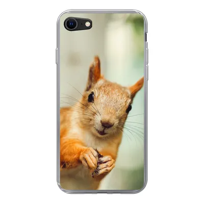 Produktbild von MuchoWow® Handyhülle Schutzhülle Hülle für iPhone SE 2020 Eichhörnchen - Lustig - Nuss - Kinder - Jungen - Mädchen - Kind Silikon Softcase Handy Hülle - Kartenbesitzer