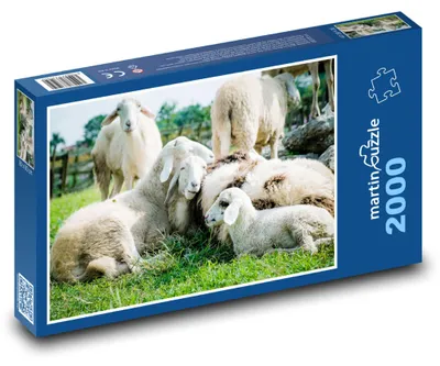 Produktbild von martinpuzzle - Puzzle 2000 Teile - Schaf