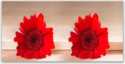 Produktbild von Glasbilder 140x70 Wandbild Druck auf Glas Blumen Pflanzen