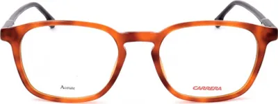 Image de Lunettes Carrera Carrera24405L