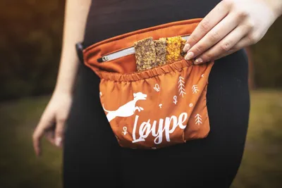 Produktbild von Loype Snack-Tasche orange