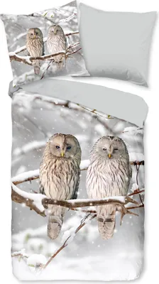 Produktbild von Duvet cover Good Morning 200x200 + 2* 80x80 cm - owls in winter landscape