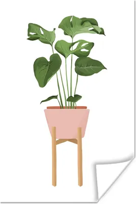 Produktbild von MuchoWow® Poster Zimmerpflanzen - Blumentopf - Monstera 80x120 cm - Papierdruck