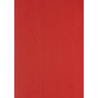 Produktbild von LMG Signaltechnologie rückwaende für Bindemappen DIN A4 240 g/qm rot