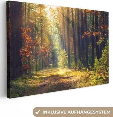 Produktbild von MuchoWow® - Leinwandbilder - Wald - Herbst - Bäume, Wandbild, Wanddeko Bilder Wohnzimmer, 120x80cm