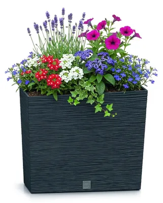 Produktbild von Furu Blumentopf mit Inneneinsatz, 58 x 18 x 49,8 cm, Anthrazit