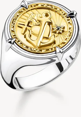 Produktbild von Thomas Sabo Signet Rings TR2246-849-39 Ring, Ringgröße:64