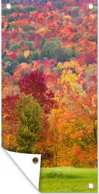 Produktbild von MuchoWow® 30x60 cm Outdoor-Poster Gartendeko Sichtschutz Garten Poster für den Garten  Bäume - Orange - Rot