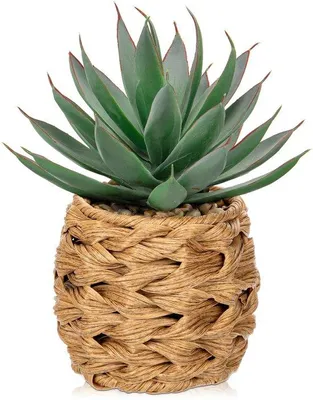 Immagine prodotto di Piante artificiali di aloe, 21 cm, per la casa, l'ufficio, il bagno