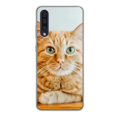 Produktbild von MuchoWow® Handyhülle Schutzhülle Hülle für Samsung Galaxy A50 Katze - Holz - Schrank Silikon Softcase Handy Hülle - Mobiltelefonhülle