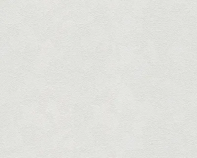 A plain white textured background.