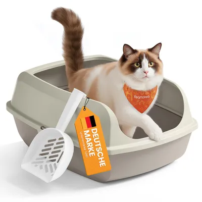 A cat is sitting in a litter box with a scoop and a tag.
