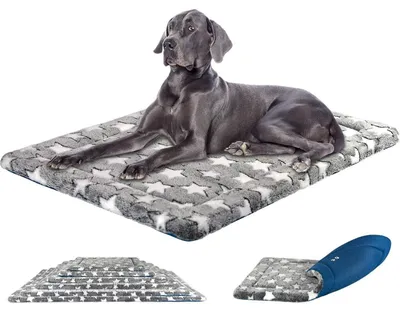 Immagine prodotto di Cuccia per cani, impermeabile, reversibile, grigia, 137x84 cm