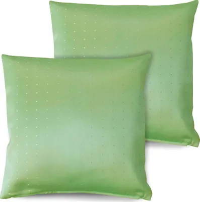 Productafbeelding van Set van 2 kussenslopen, 40x40 cm, lichtgroen, met rits, geschikt als decoratie