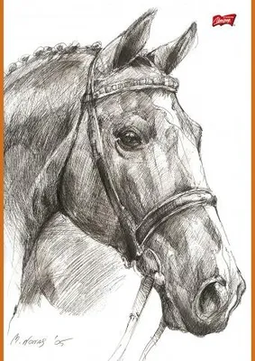 Image de Carnet de croquis A4, 20 feuilles - lot de 10