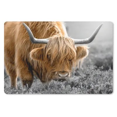 Produktbild von MuchoWow® Mauspad Mousepad Schottischer Highlander - Tiere - Braun - Kuh - Schwarz - Weiß - Natur 27x18 cm - Mousepads - Maus Mat - Pad - Mausunterlage - Büroartikel - Desk Matten