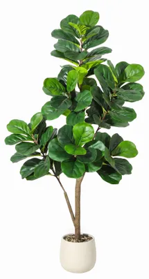 Produktbild von Künstliche Geigenfeige (Ficus Lyrata) 150 cm in Weiß – Täuschend echte Kunstpflanze mit natürlichem Wuchs im Pflanztopf, für Wohnzimmer & Büro