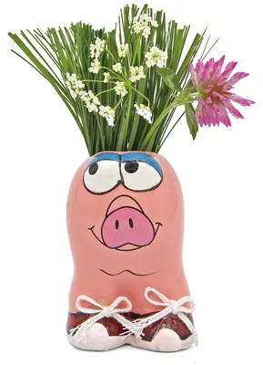 Artikelbild 2 von 'Anzuchtset Munakuppi Schwein' aus der Kategorie Munakuppi
