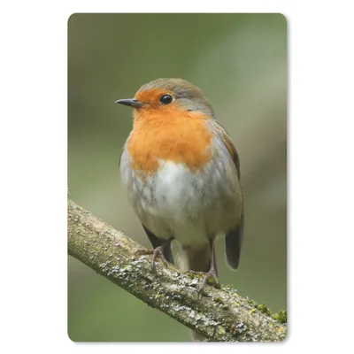 Produktbild von MuchoWow® Mauspad Mousepad Vogel - Rotkehlchen - Zweig - Pflanzen 18x27 cm - Mousepads - Maus Mat - Pad - Mausunterlage