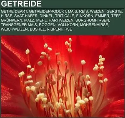 Produktbild von Getreide