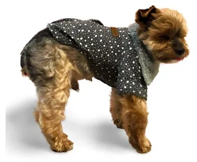 Productafbeelding van Surtep dierenjas voor honden met stippen