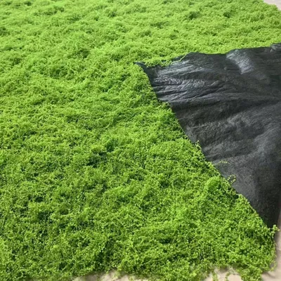 Produktbild von Moosmatten zur Dekoration, flaches Moos für Moosbilder und Mooswände, künstliches Moos zur Dekoration, künstliches Dekomoos, Bastelmoos, Moosmatten, Frühlingsdekoration (hellgrün, 100 x 100 cm)