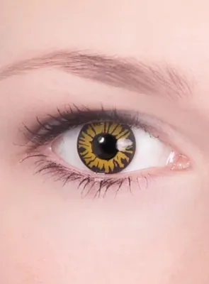 Produktbild von Werwolf Jahreslinsen Kontaktlinsen - Halloween Karneval