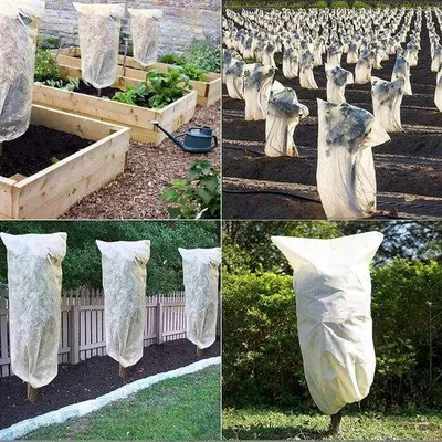 Image de Housse de protection hivernale pour plantes