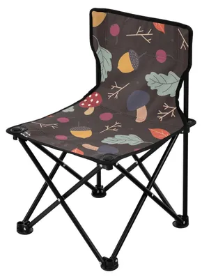 Image de Chaise de camping pliable pour adultes, avec sac de transport