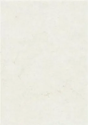 Produktbild von ZANDERS Elefantenhaut, DIN A4, 110 g/qm, weiß (8008599)