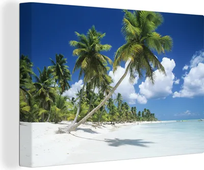 Obrázek produktu pro OneMillionCanvasses® Malba na plátně Nástěnná malba na plátně - Pláž - palma - tropická - 150x100cm