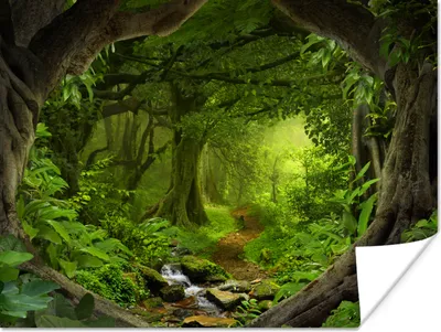Produktbild von MuchoWow® Poster Dschungel - Grün - Natur - Tropisch - Pflanzen 160x120 cm - Foto Plakat