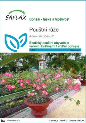 Obrázek produktu pro SAFLAX - pouštní růže - Adenium obesum - 8 Semena