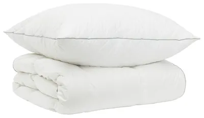 Productafbeelding van Gansendonsdekbedset, 90% FULDA, 2 stuks, 140 x 200 cm, wit