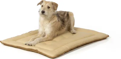 Produktbild von gepolsterte Hundematte 90 x 70 cm, beige/braun bei 95°C waschbar für Hunde