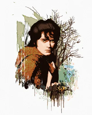 Produktbild von Zuty – Malen nach Zahlen – FRODO (DER HERR DER RINGE), 40x50 cm, auf gespanntem Leinwandrahmen