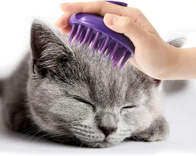 Productafbeelding van Siliconen Vachtborstel - Zachte Haren - Katten Verzorgen - Niet Krasend - 20 cm - Lila
