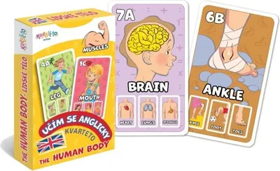 Obrázok produktu pre Kvarteto Učím sa anglicky - The Human Body
