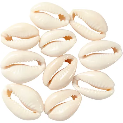Produktbild von Creativ Company 61016, Beige, 6 Stück(e)