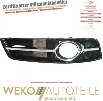 Produktbild von Lüftungsgitter  Stoßstange links DIEDERICHS 1032147 für AUDI